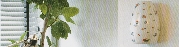 Ｐ２.jpg