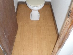 CIMG0080.JPG