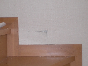 CIMG0164.JPG