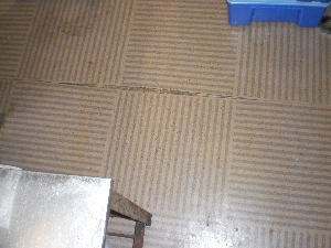 CIMG0071.JPG