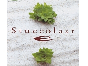 sutaltukora-suto.gif
